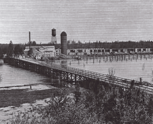 Old Mill River