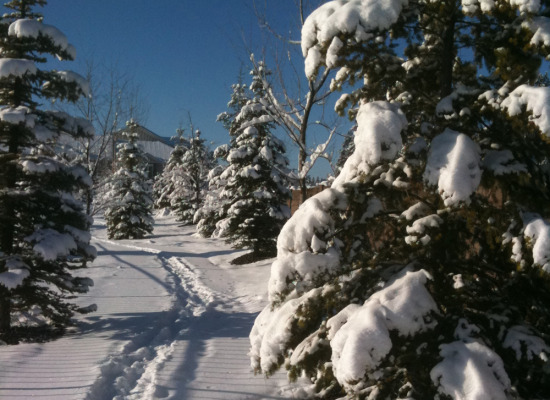 Winter