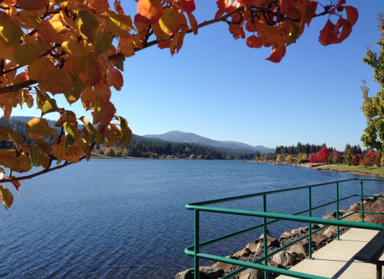 Fall