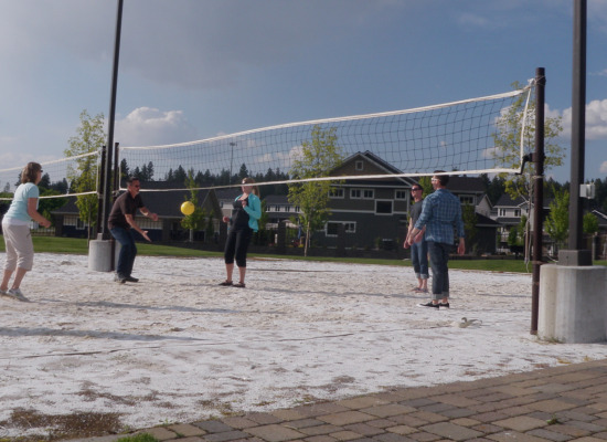 Fun in Spring